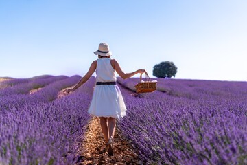 A woman in a summer lavender field with a hat picking flowers, rural lifestyle