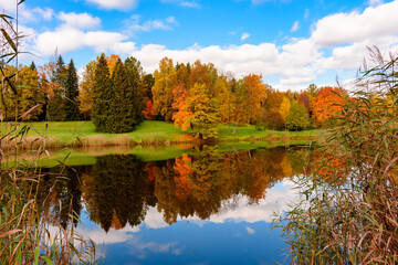 Autumn foliage in Pavlovsky park, Pavlovsk, Saint Petersburg, Russia