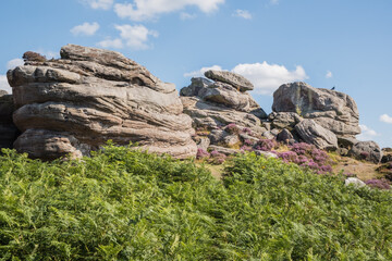 Rocks and heather in the Peak District, UK, in summer