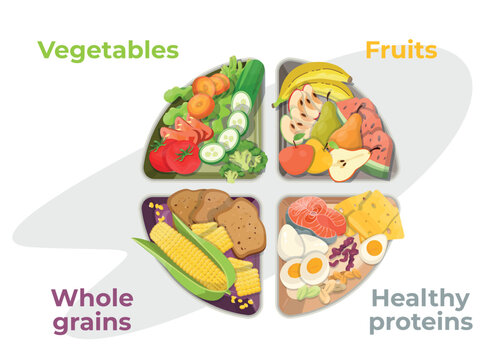 Healthy Eating Plate: Vegetables, Fruits, Healthy Proteins, Whole Grains. Diet Concept. Healthy Way Of Life. Vegetarian. Flat Vector Illustration.