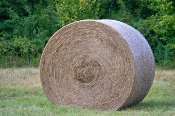 Autumn in the countryside, a bale of hay in the meadow, food for horses and cattle for the winter.