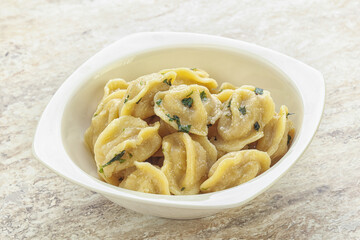 Russian boiled dumplings with meat