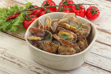 Vongole shellfish mollusc clem with butter