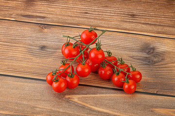 Ripe sweet Cherry tomato branch