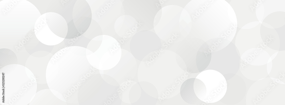 Fototapete White and grey abstract modern transparency circle presentation background. Vector circles template vector design. Object web design. Round shape.