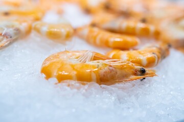 Prawn cooked on ice at a market in Vigo (Spain), selective approach to the head.