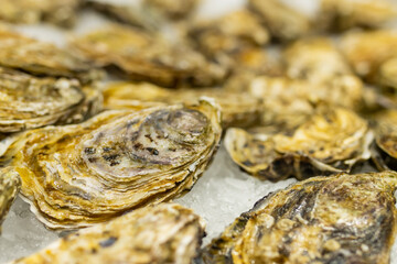 Fresh oyster on ice ready for sale at a market in Vigo (Spain), selective approach to the left side of the oyster.