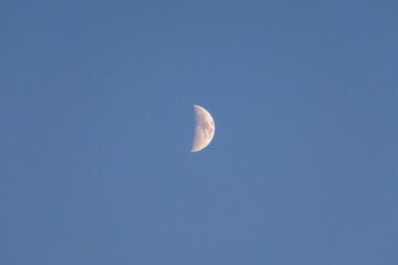 half moon in a blue evening sky