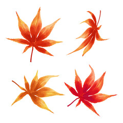 Japanese maple leaf of various colors and shapes in a watercolor style isolated on a white background. Falling leaves Icon. Vector illustration