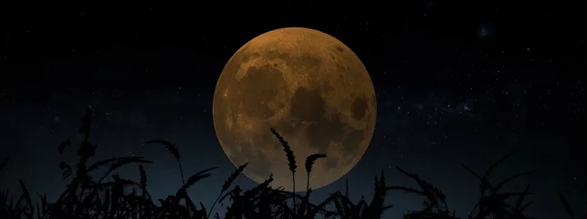 Photo sur Aluminium Pleine lune harvest moon september full moon 3d illustration concept