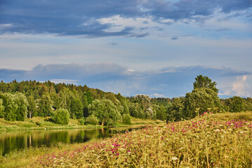 Fototapeta premium Bright summer landscape. The river flows among the blooming banks.