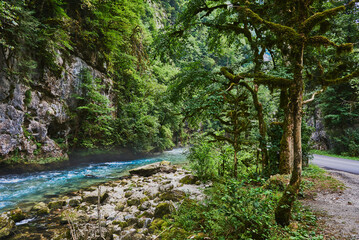 Fototapeta premium The mountain river Bzyb flows along the rocks in the Ricin Reserve.