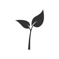 leaf icon. Vector illustration isolated on white background.