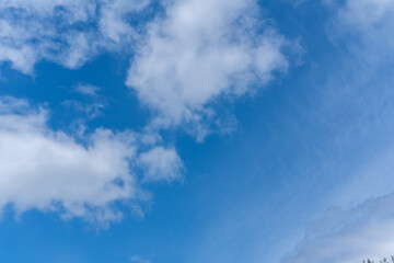Blue sky background with white fluffy cumulus clouds. Panorama of white fluffy clouds in the blue sky. Beautiful vast blue sky with amazing scattered cumulus clouds.