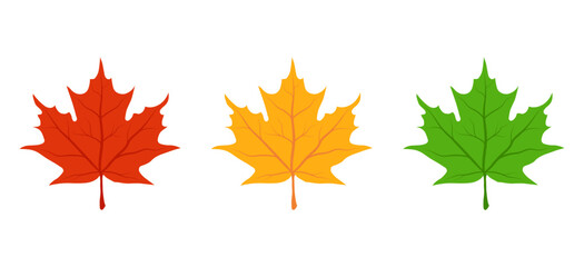 Maple leaf icon set. Red, yellow, green autumn leaves. Simple cartoon flat style. Vector illustration