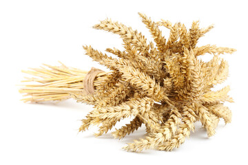 Bunch of dried wheat isolated on white