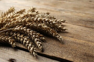 Many ears of wheat on wooden table, closeup