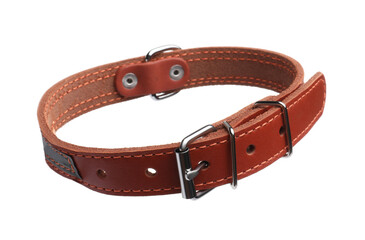 Brown leather dog collar isolated on white