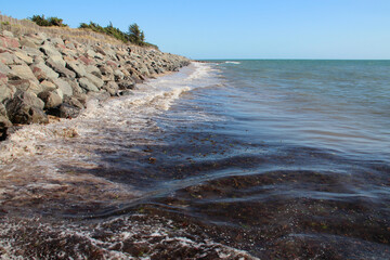 atlantic coast at noirmoutier island in vendée (france)