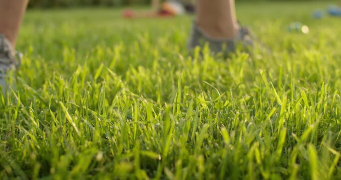 Ein Ball wird mit einem Schl&auml;ger auf grune Grass geschlagen .