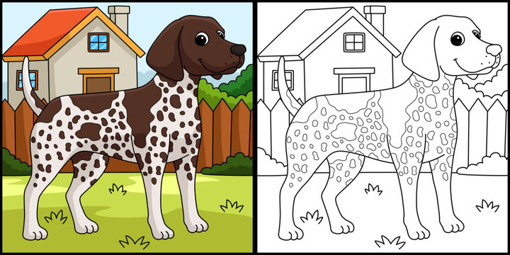 German Shorthaired Pointer Dog Coloring Page