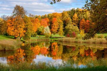 Autumn foliage in Pavlovsky park, Pavlovsk, Saint Petersburg, Russia