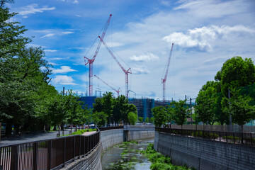 Fototapeta na wymiar Cranes at the under construction daytime wide shot