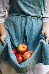 Woman's hands holding out apron filled with fresh gala apples. Selective focus on fruit with blurred foreground and background.