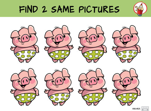 Funny little pig. Find two same pictures