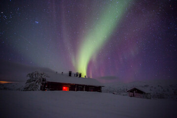 Northern lights in Pallas Yllastunturi National Park, Lapland, Finland