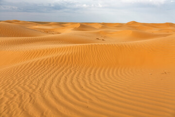 Fototapeta na wymiar Sandy desert and blue sky