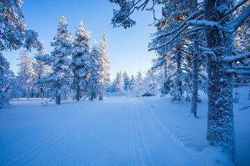 Winter landscape in Pallas Yllastunturi National Park, Lapland, Finland
