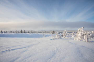 Obraz premium Winter landscape in Pallas Yllastunturi National Park, Lapland, Finland