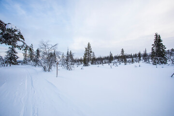 Winter landscape in Pallas Yllastunturi National Park, Lapland, Finland