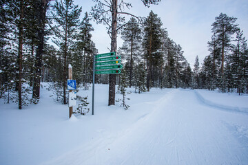Ski expedition in Pallas Yllastunturi National Park , Lapland, Finland