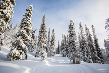 Winter landscape in Pallas Yllastunturi National Park, Lapland, Finland