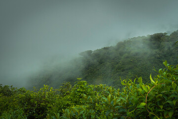 the fog is coming again