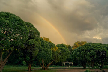 Nature landscape with lake and trees on sunset light.