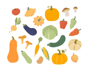 Fototapeta premium Set of cartoon organic farm vegetables. Autumn harvest of pumpkin, zucchini, cabbage, squash, patisson, carrot, onion, pepper, mushrooms. Flat vector illustration of veggies on white background