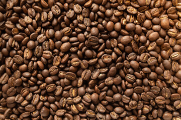 Fototapeta premium コーヒー 豆ケニア、ニエリ、ウォッシュド