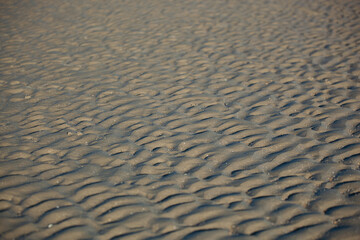 Wave patterns on wet sand. The ocean left marks of the currents on the yellow sand. The sun casts shadows and gives relief volume to linear patterns.