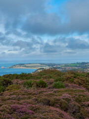 An expanse of multi-coloured, clifftop heather, ahead of sea, the distant headland bearing the small town of Totland and a haze-shrouded horizon.