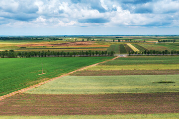 Obraz premium Aerial shot of beautiful countryside landscape with cultivated fields in Banat, geographical region of Vojvodina province in Serbia, drone pov