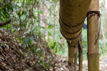Drop in an abandoned pipe