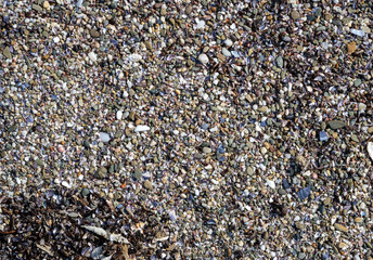 Sea sand, pebbles, midey coral shards close-up