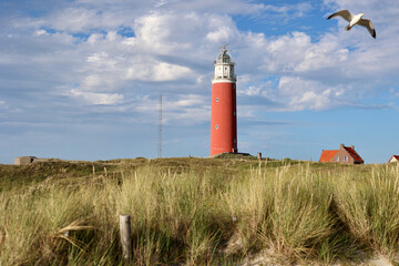 The lighthouse of the island of Texel in The Netherlands surrounded by tall sand dunes in beautiful...