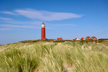 The lighthouse of the island of Texel in The Netherlands surrounded by tall sand dunes in beautiful sunlight.