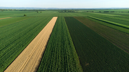 agriculture fields in Summer seen from above