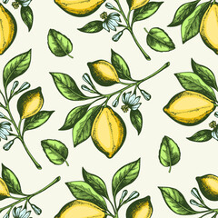 Seamless pattern with lemon branch.