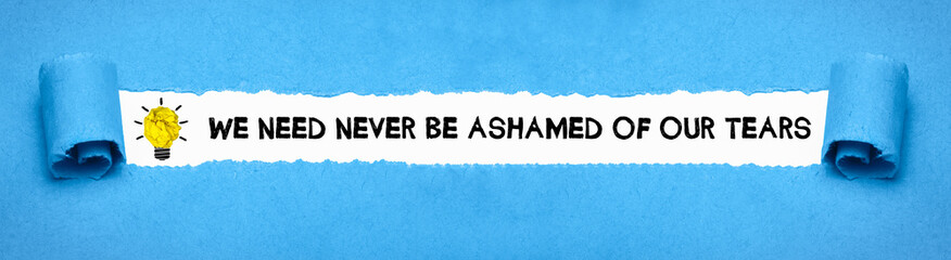 we need never be ashamed of our tears